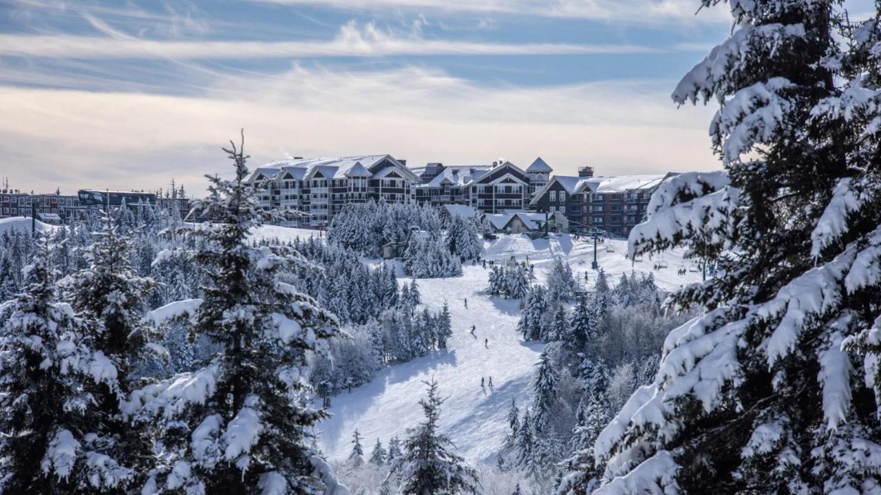 Snowshoe Ski-In & Ski-Out At Silvercreek Resort - Family Friendly, Jacuzzi, Hot Tub, Mountain Views Екстериор снимка